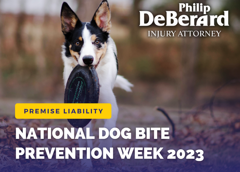 Dog Bites: National Dog Bite Prevention Week 2023
